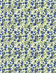 Blueberry 001 Transfer